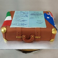 Farewell Cake - Travel Suitcase Cake 
